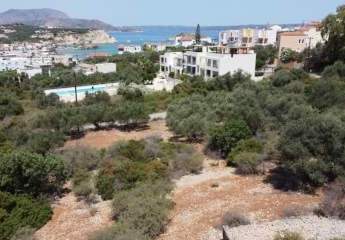 463875-Vorschaubild3