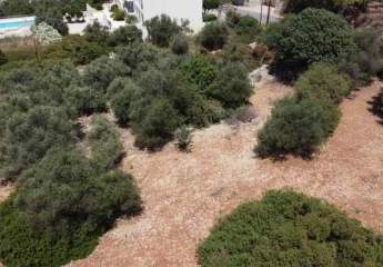 463875-Vorschaubild4