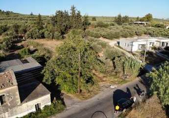 463877-Vorschaubild2