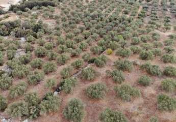 Kreta, Agios Vasilis: Erstklassiges Baugrundstück zum Verkauf mit Meer- und Bergblick