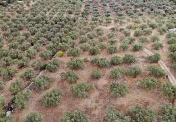 463878-Vorschaubild2