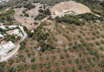 463878-Vorschaubild4