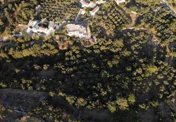 Kreta, Ag. Pavlos: Malerisches Grundstück in der Nähe von Gavalochori zum Verkauf