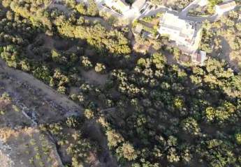 463879-Vorschaubild2