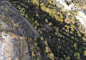 463879-Vorschaubild3