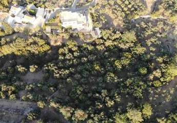 463879-Vorschaubild4