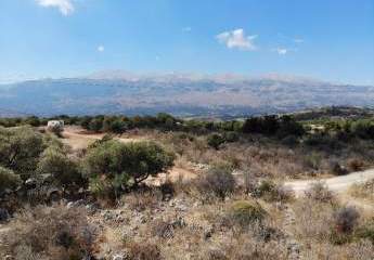 Kreta, Vamos: Malerisches Grundstück zum Verkauf im idyllischen Dorf