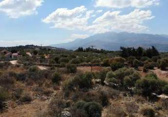 463880-Vorschaubild2