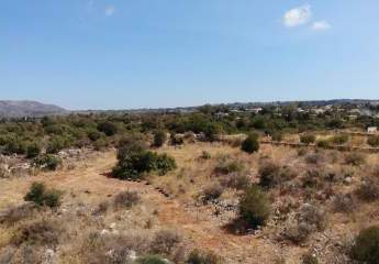 463880-Vorschaubild4