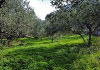 464148-Vorschaubild2