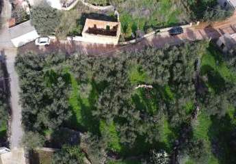 464148-Vorschaubild3