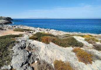 Kreta, Stavros: Grundstücke direkt am Meer mit Blick auf den Sonnenuntergang zu verkaufen