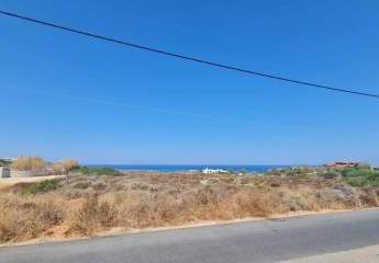 464149-Vorschaubild2