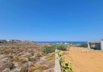 464149-Vorschaubild3