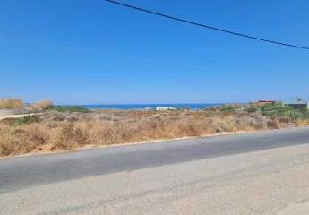 464149-Vorschaubild4