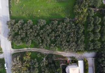 464150-Vorschaubild4