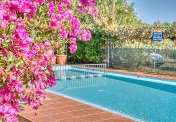 464180-Vorschaubild2