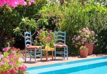 464180-Vorschaubild3