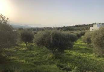 Kreta, Adele: Grundstück mit Meerblick zu verkaufen