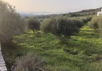 466586-Vorschaubild3