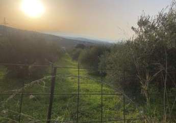 466586-Vorschaubild4