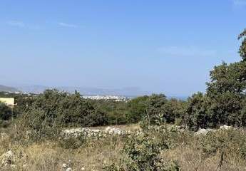 466587-Vorschaubild2