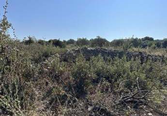 466587-Vorschaubild3