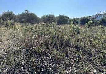 466587-Vorschaubild4