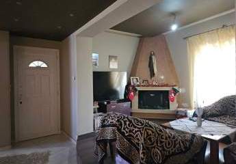 467764-Vorschaubild3