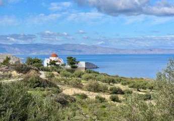 468902-Vorschaubild2