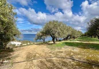 468902-Vorschaubild3