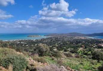 468907-Vorschaubild2