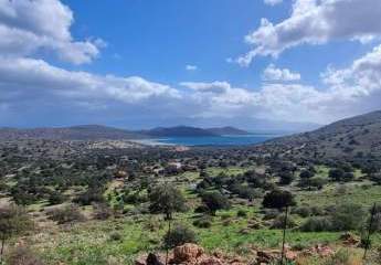 468907-Vorschaubild3