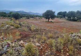 469382-Vorschaubild4