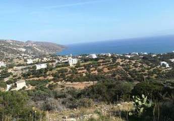 469385-Vorschaubild2