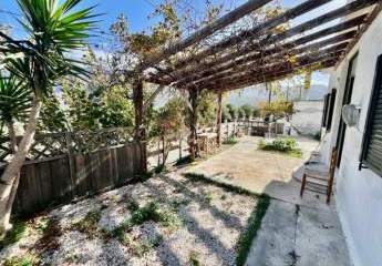 469386-Vorschaubild2