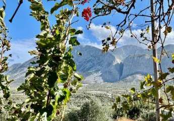 469386-Vorschaubild3