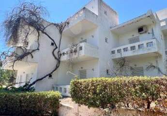 404010-Vorschaubild2