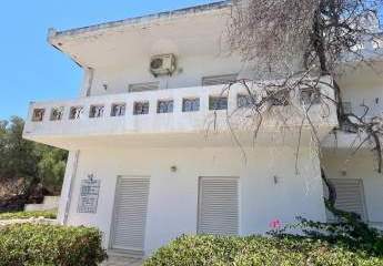 404010-Vorschaubild3