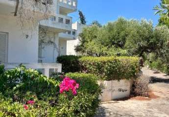 404010-Vorschaubild4