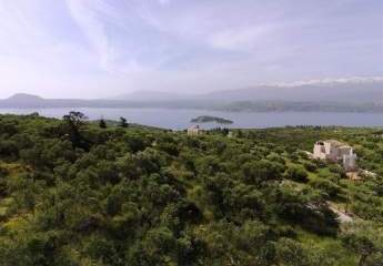 469458-Vorschaubild2