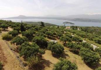Kreta, Sternes: Gründstück mit dem Panoramablick auf das Meer von Sternes Edge