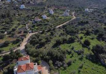 470214-Vorschaubild2