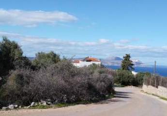 470214-Vorschaubild4