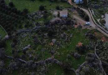 470215-Vorschaubild2