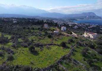 470215-Vorschaubild3