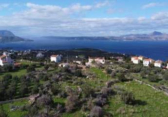 470215-Vorschaubild4