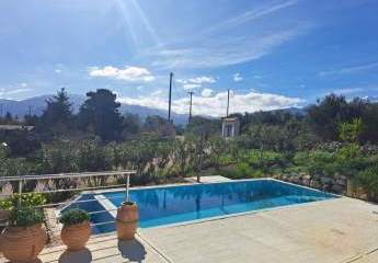 471270-Vorschaubild4