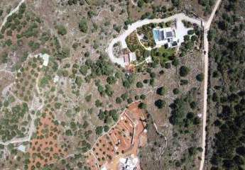 471492-Vorschaubild2