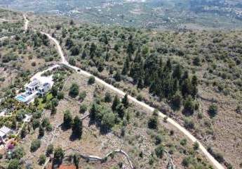 471492-Vorschaubild3